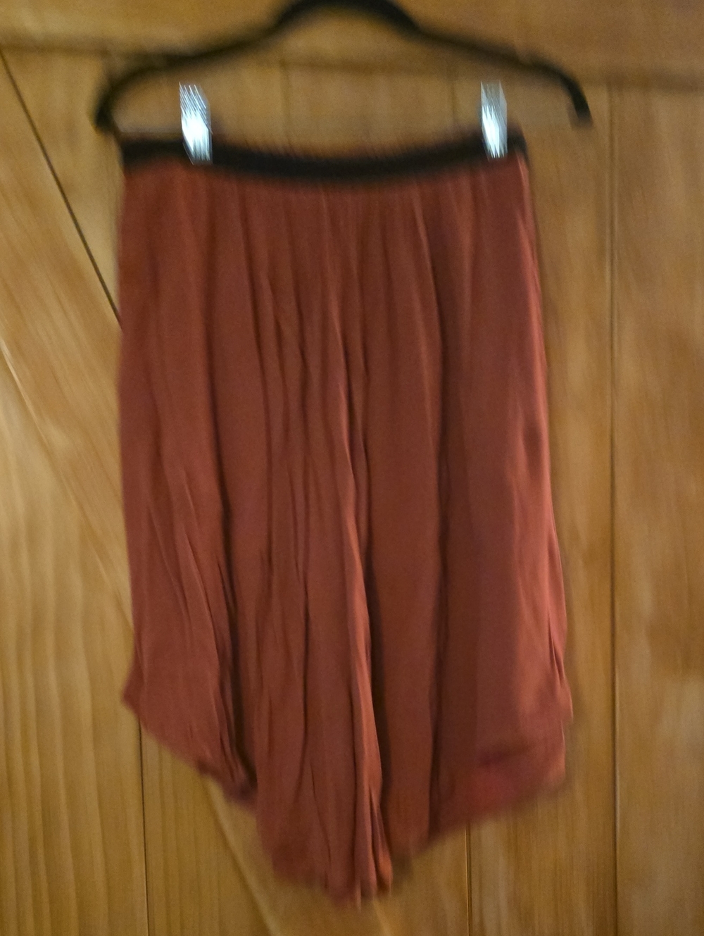 H&M Rust Skirt